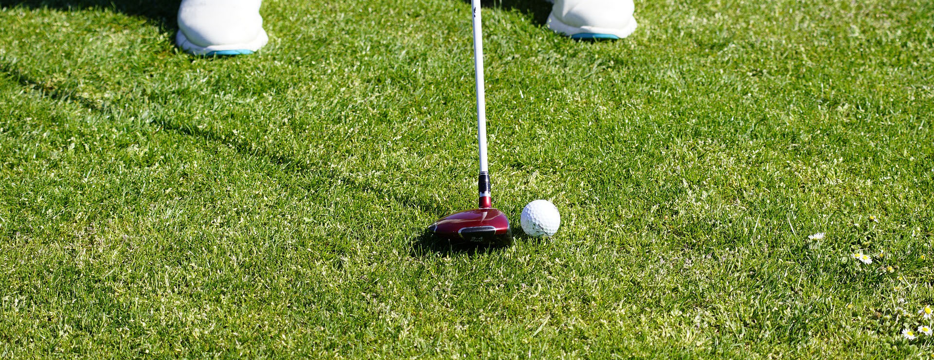 Golf Shop 1 Golf Shop -Golf Shop golf 9574071 1920